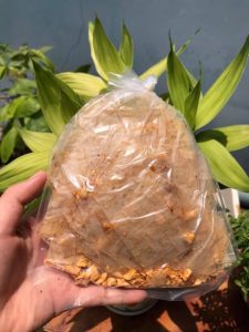 bánh tráng muối nhuyễn xì ke – set 5 gói