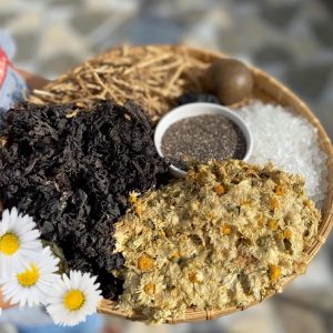 set sâm rong biển